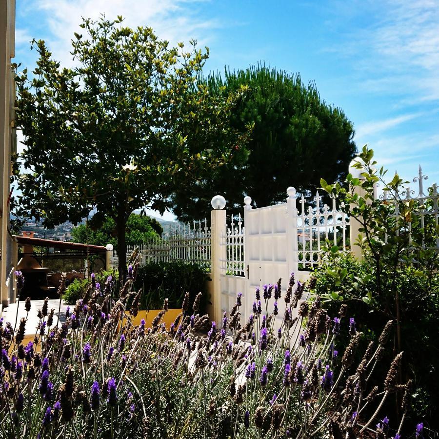 Villa Filoxenia All Seasons, Near Airport, Sea, Athens Agia Marina  Ngoại thất bức ảnh