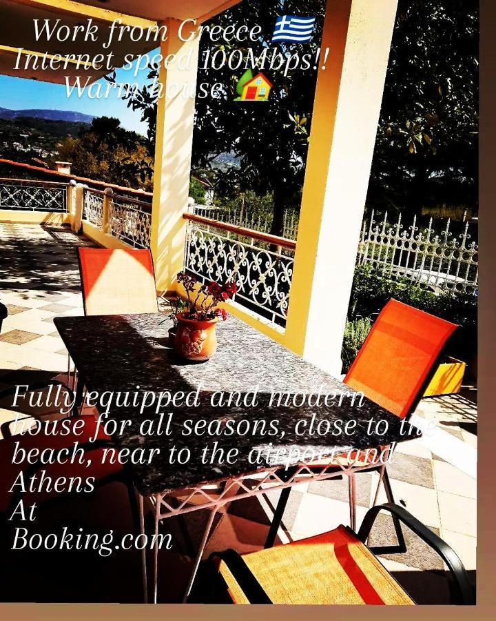 Villa Filoxenia All Seasons, Near Airport, Sea, Athens Agia Marina  Ngoại thất bức ảnh