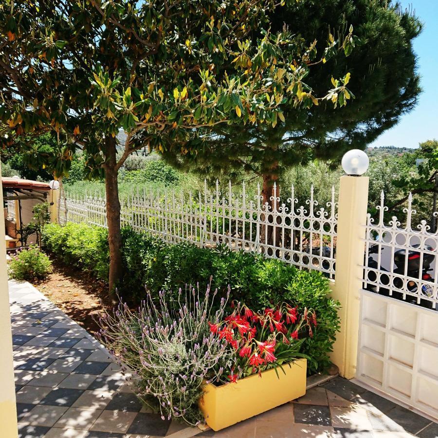 Villa Filoxenia All Seasons, Near Airport, Sea, Athens Agia Marina  Ngoại thất bức ảnh
