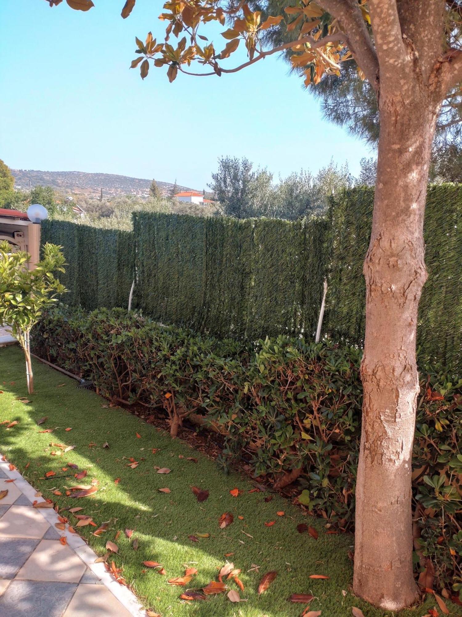 Villa Filoxenia All Seasons, Near Airport, Sea, Athens Agia Marina  Ngoại thất bức ảnh