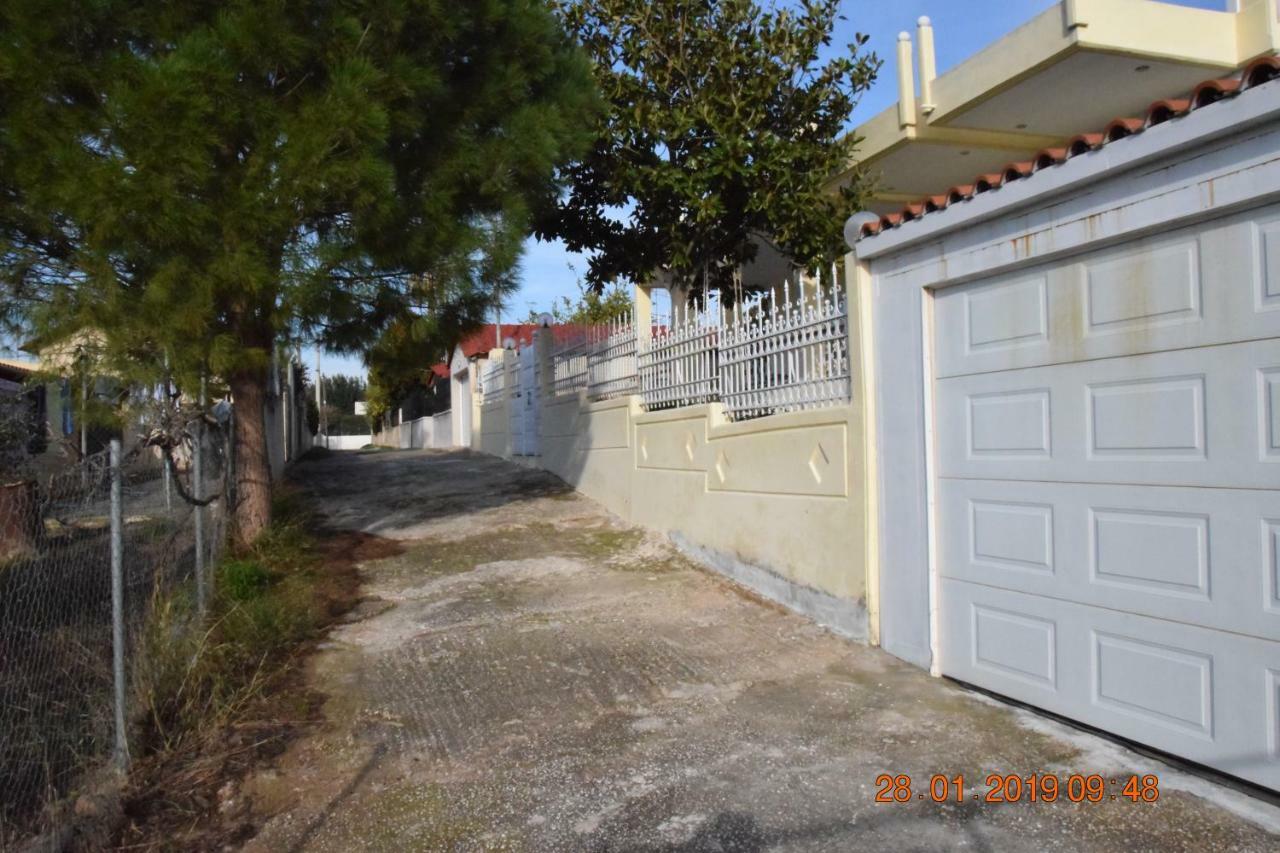 Villa Filoxenia All Seasons, Near Airport, Sea, Athens Agia Marina  Ngoại thất bức ảnh