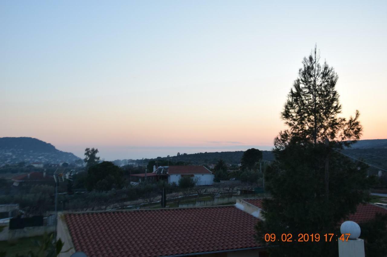 Villa Filoxenia All Seasons, Near Airport, Sea, Athens Agia Marina  Ngoại thất bức ảnh